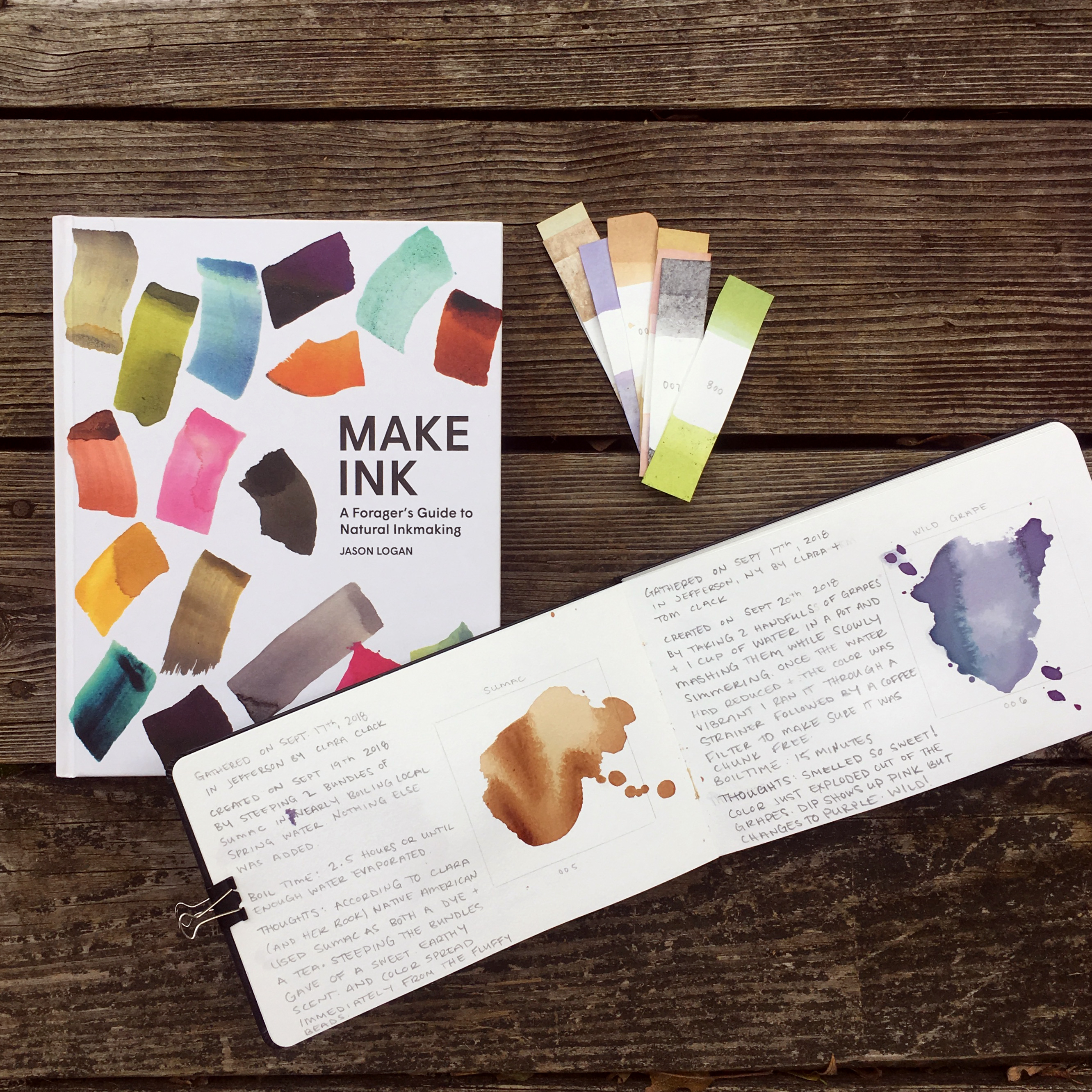  I decided to go to the Catskills and take along Jason Logan of Toronto Ink Company’s book Make Ink: A Foragers Guide to Natural Ink Making. Over the next 7 days, I muddled through to create green and purple and pink and a lot of browns, a few laws of color making began to emerge.