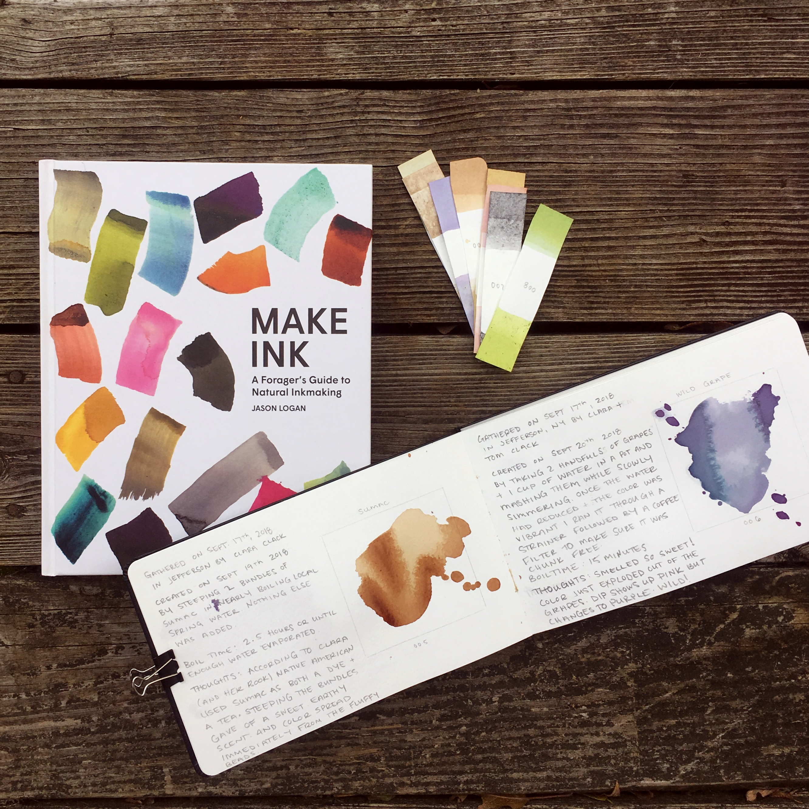 I decided to go to the Catskills and take along Jason Logan of Toronto Ink Company’s book Make Ink: A Foragers Guide to Natural Ink Making. Over the next 7 days, I muddled through to create green and purple and pink and a lot of browns, a few laws of color making began to emerge.